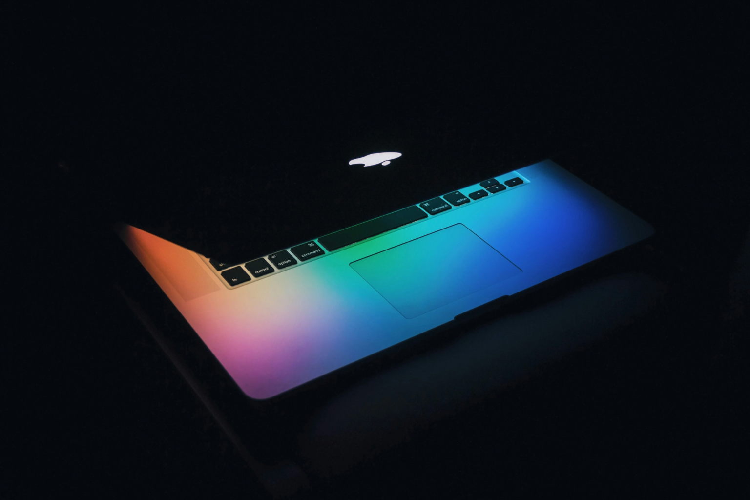 wesson-wang-y0_vFxOHayg-unsplash